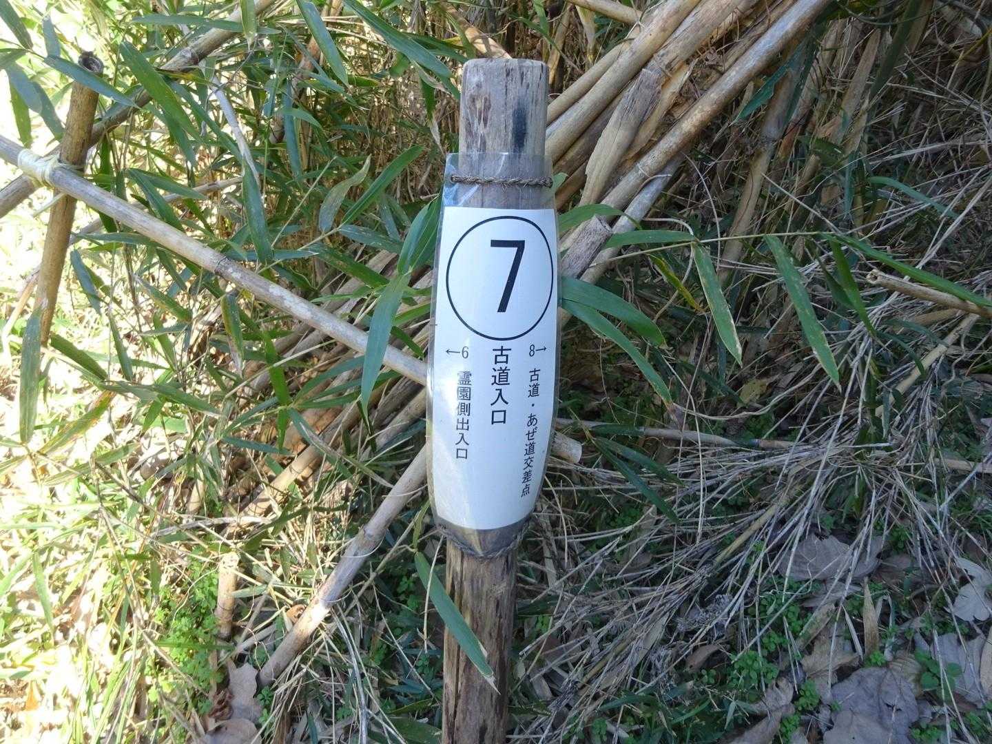 大楠山への古道入口です👍
