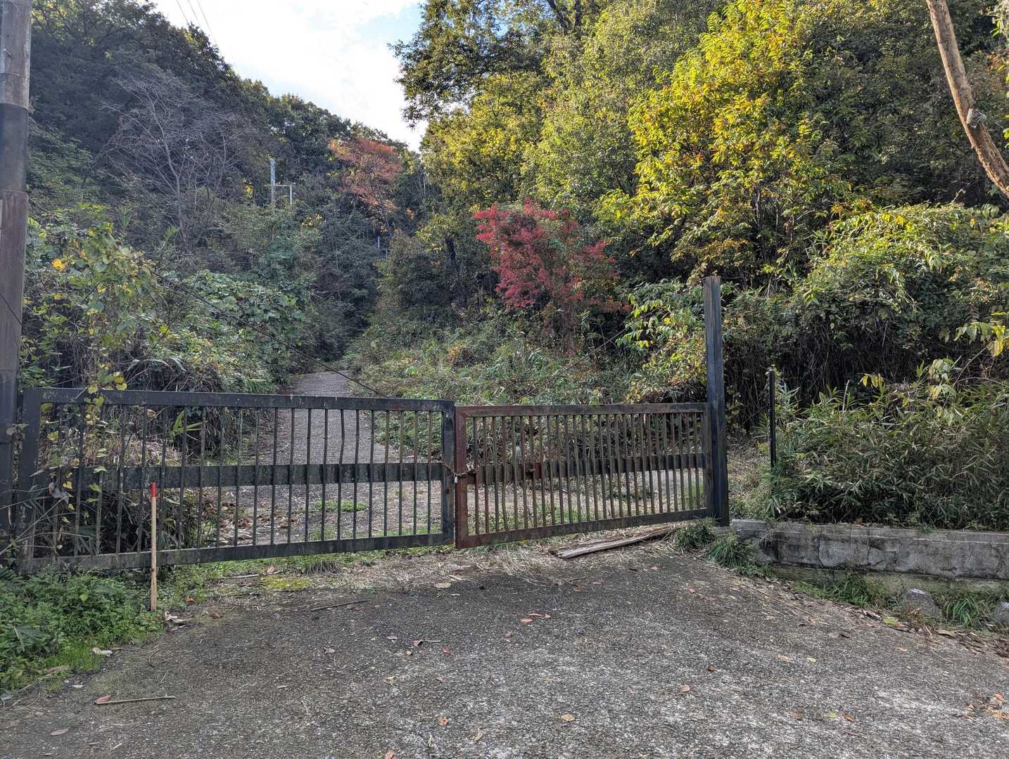 そして、またまた満腹状態で歩いてます
