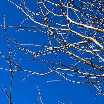 冬の新潟ではありえない晴天