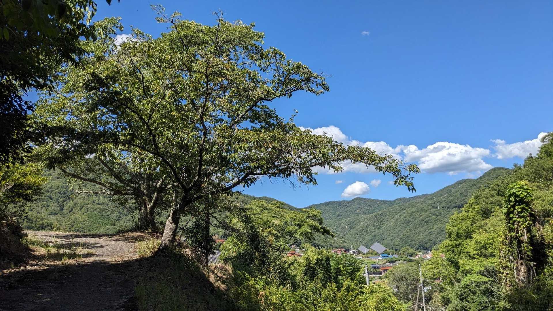 あー好きな景色。
