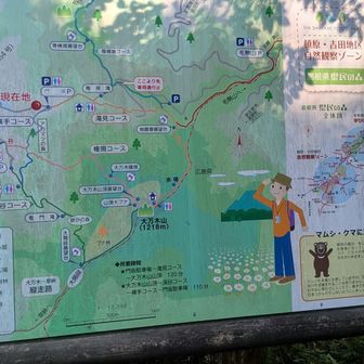 いい山なんだけどな眺望が今一つだったな