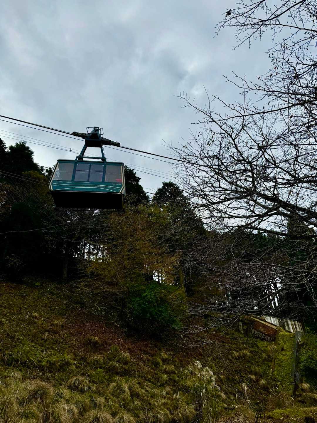 ロープウェイ🚡