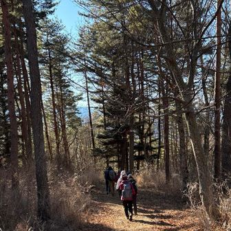 皆様の背中。美しい。