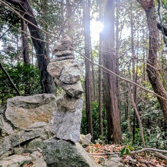 絶妙なバランス🌟