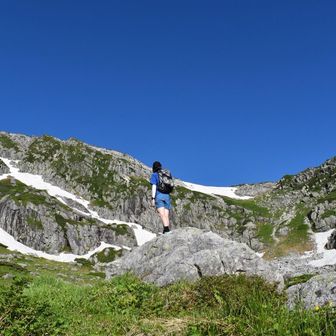ぶろっこりー丸