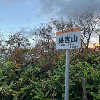 鹿がガサゴソ🦌ピーピー鳴いていた📣