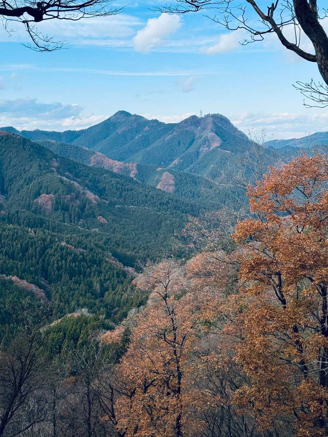 「小高山」山頂より
