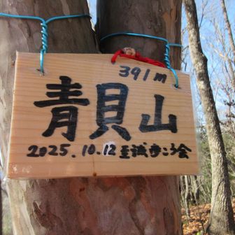 青貝山到着。下山路には急坂のポイントが幾つかあり、落ち葉で滑るので気が抜けない感じだった。