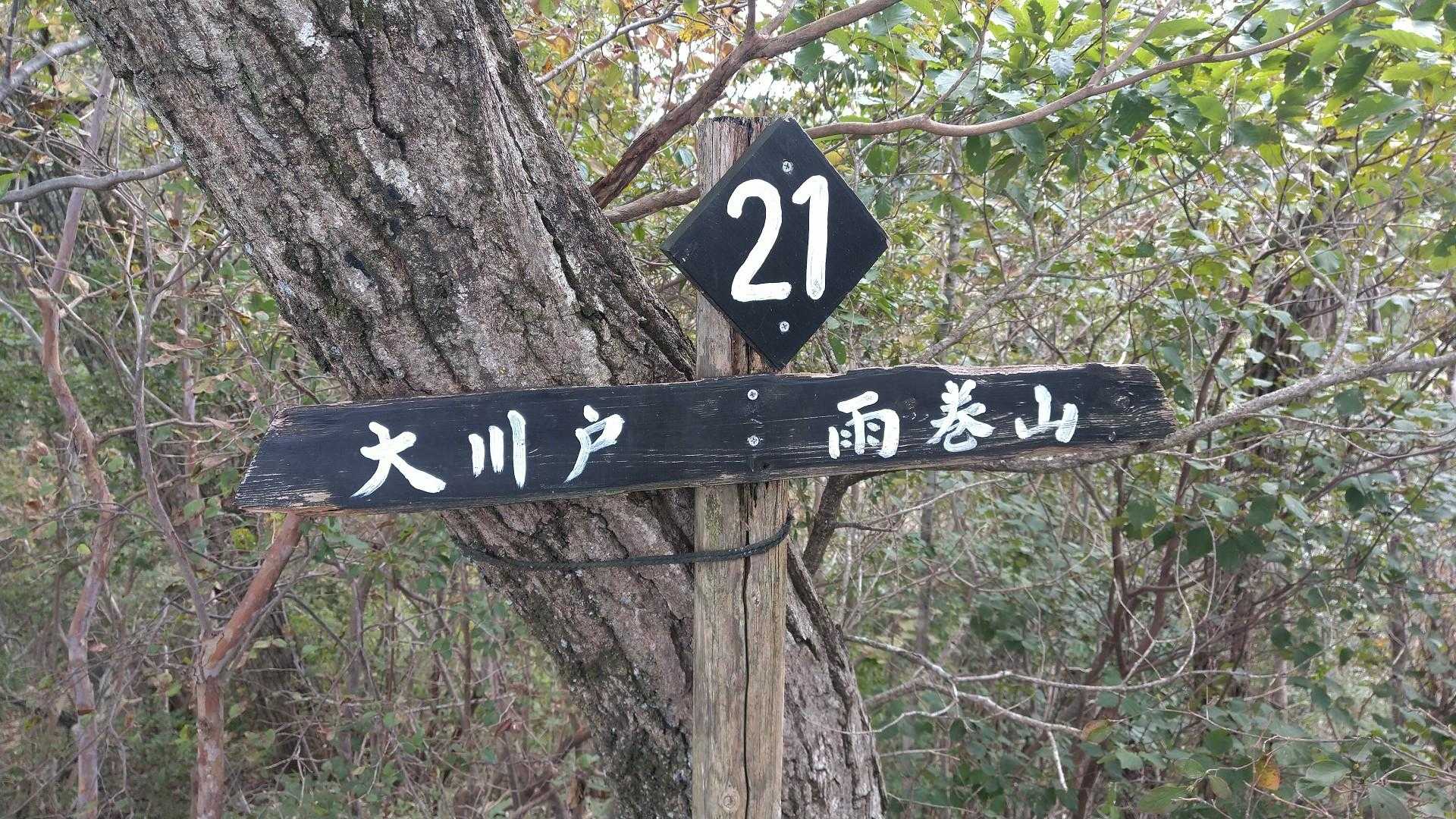 三登谷山 周回コースの写真