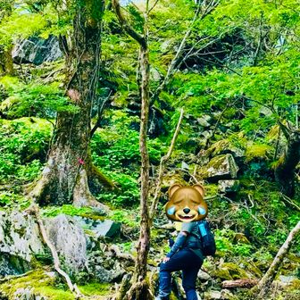 サガリハゲ山ラスボスです💦💦
急登です登れるのか？