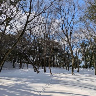自分だけの🐾つけて
ご満悦な私🥳