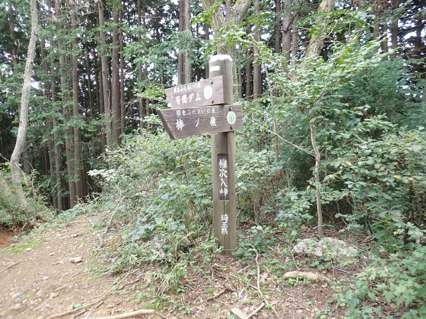 ゴンズメ峠？だったかな