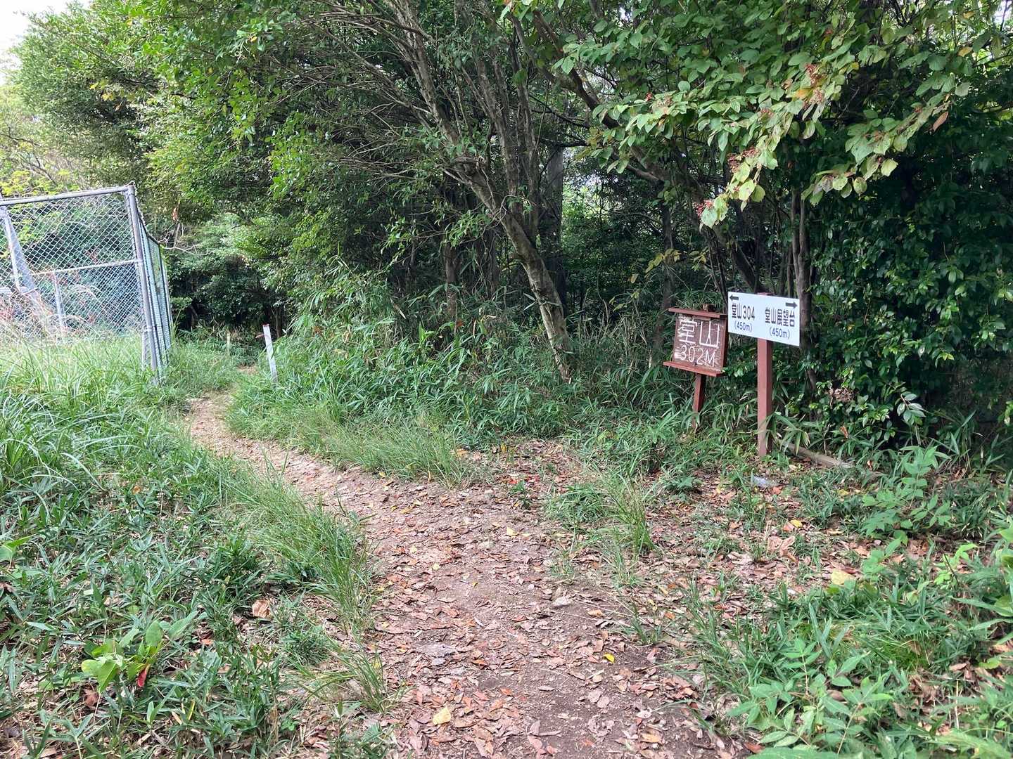 堂山頂上。
ベンチはありましたが眺望なし。