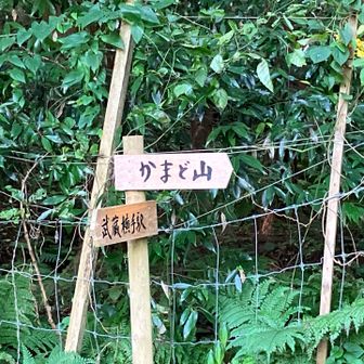 至るところに案内板がありました。