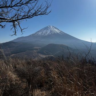薮の中で山頂でおやつ食べて、ここからの富士山は見納めだけど、何処からでも富士山は綺麗です。
