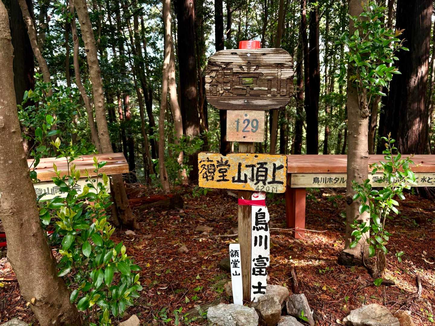 額堂山「 鳥川富士 」   名の通り美しい形の山