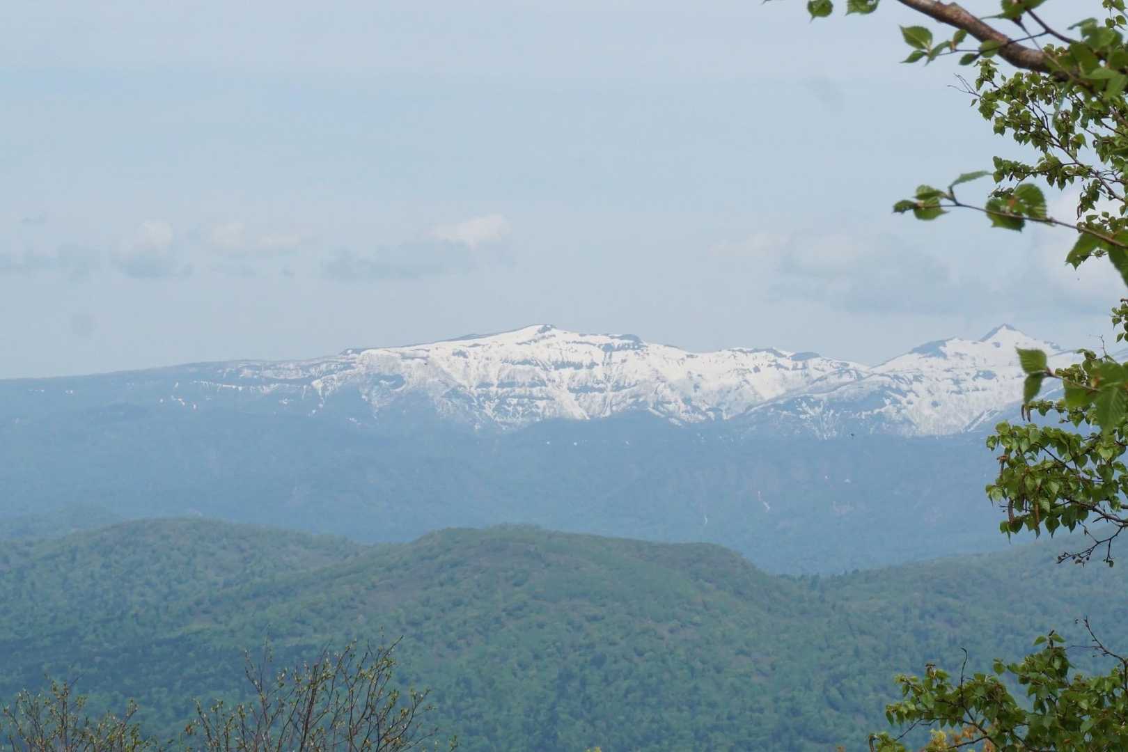 Bコース登山口-神居尻山 往復コースの写真