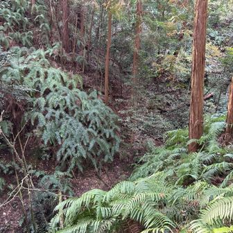団地のすぐ脇にこんな峡谷が