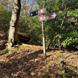 降りきったら矢尾峠