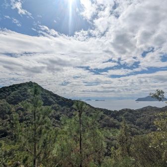 右側は弓削島