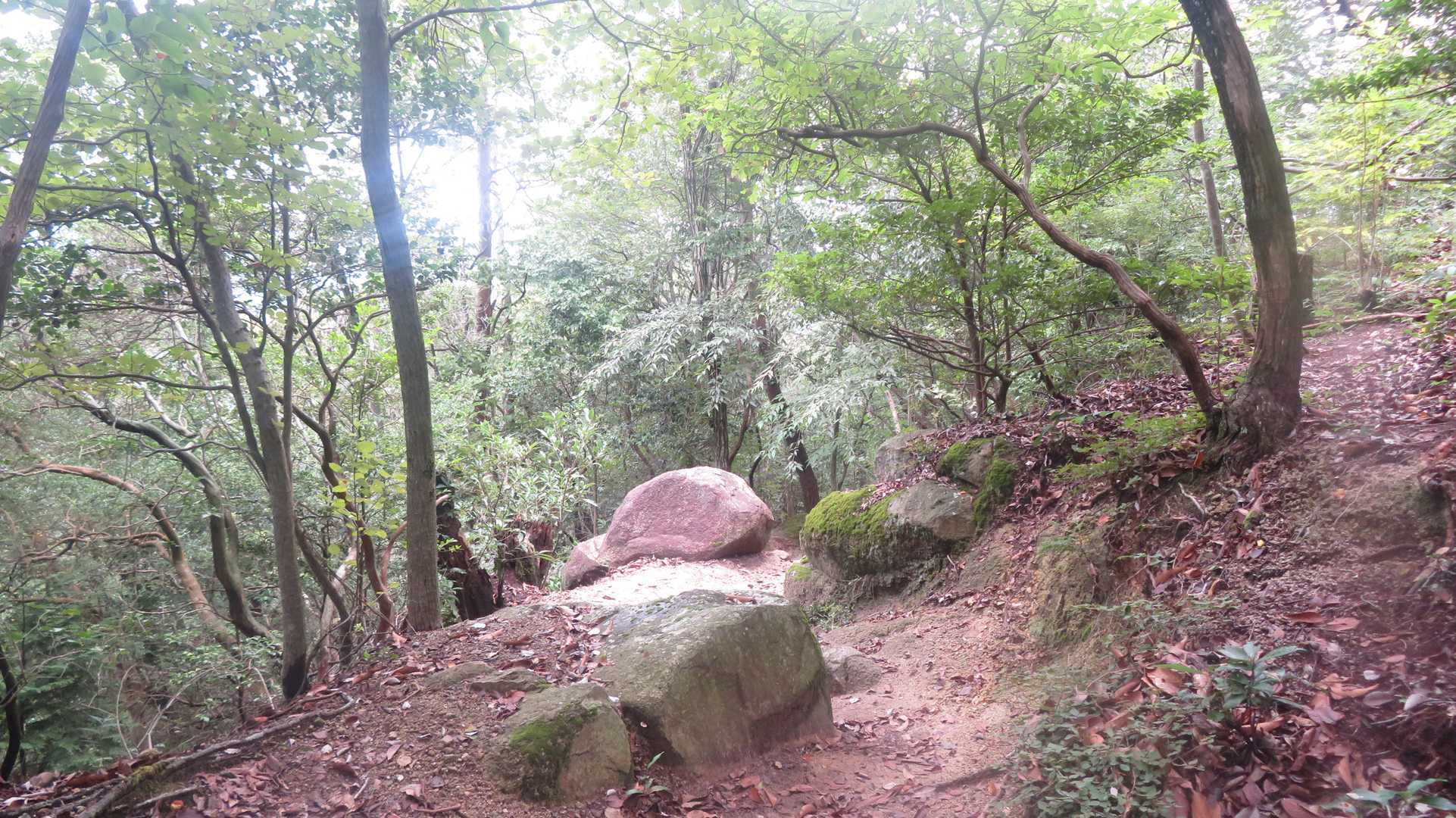 下山します