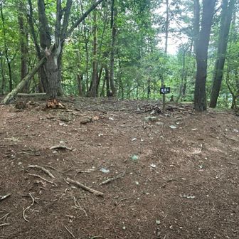 道満山は尾根分岐の平坦地