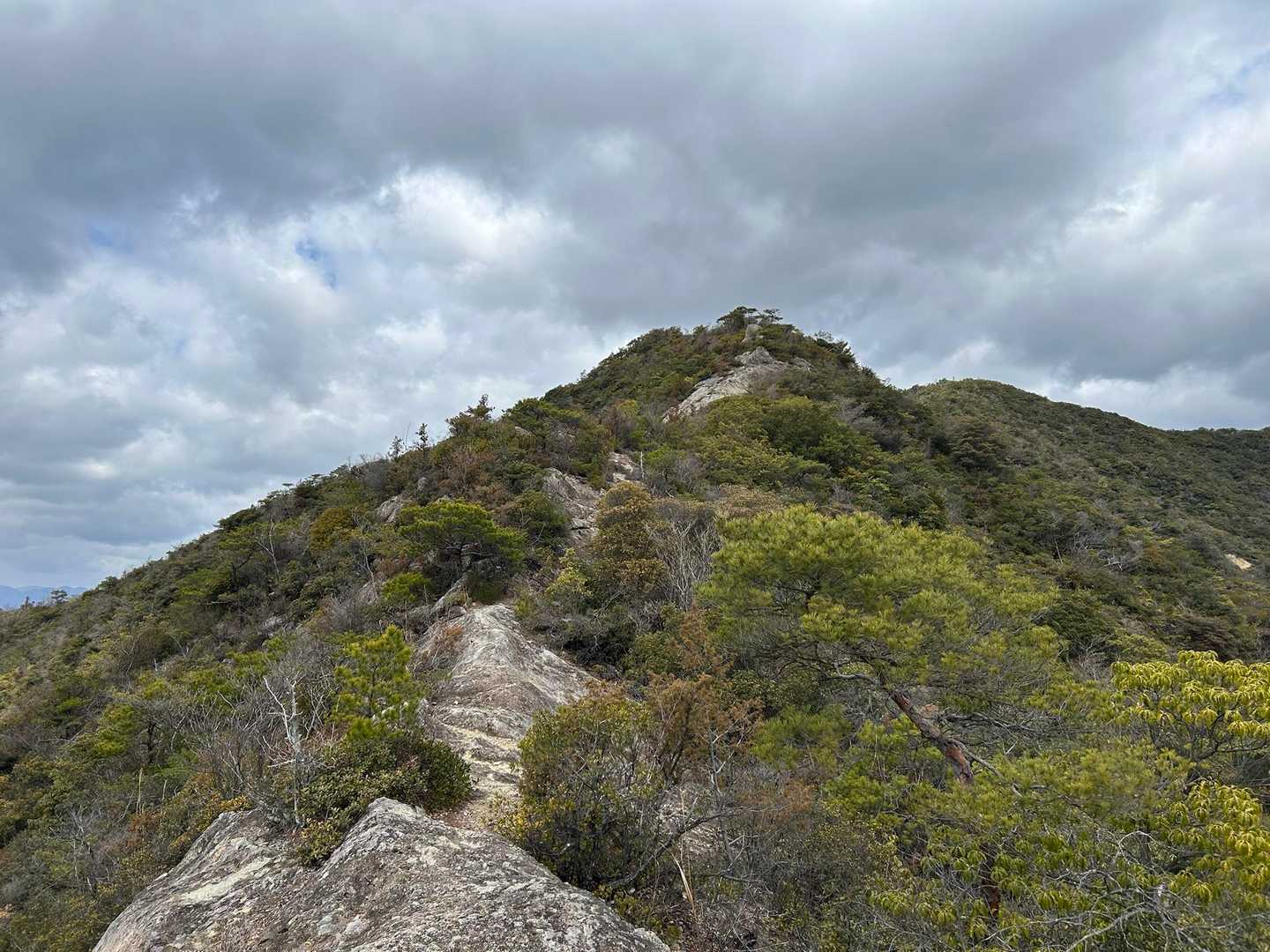 山口登山口-大坂山取付き-P186-P320-大坂山-背山 周回コースの写真
