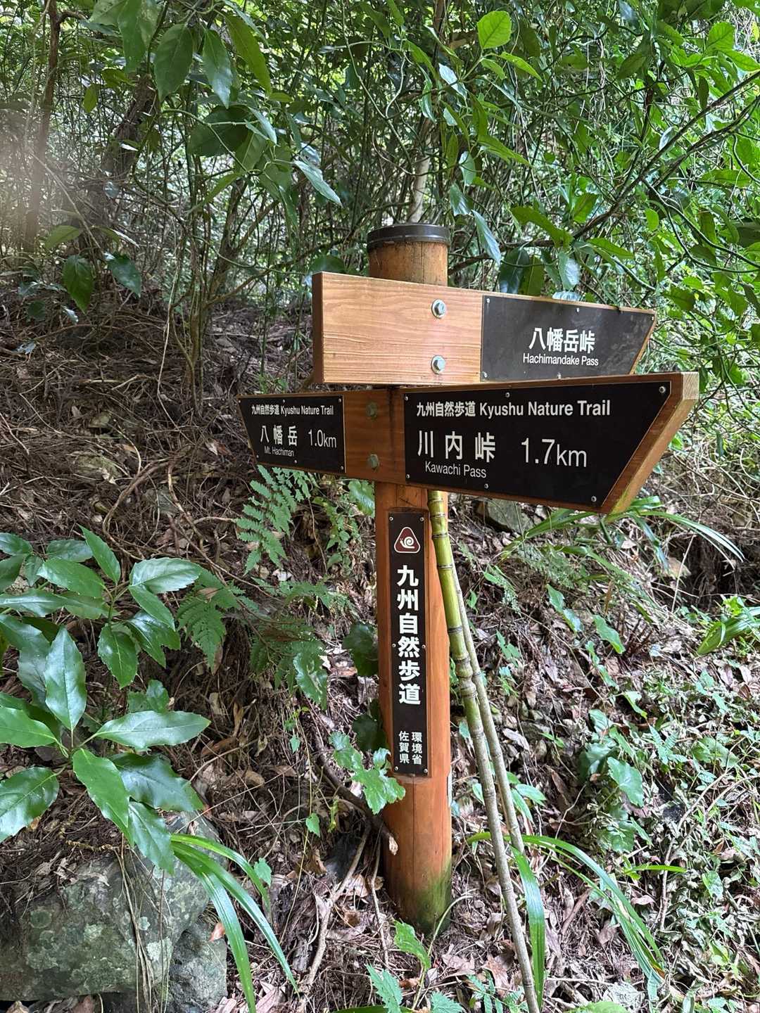 八幡岳 往復コースの写真