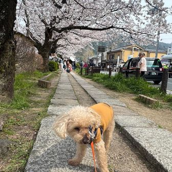 くん活の邪魔して写真取ろうとすると、こっちを向いてくれません…