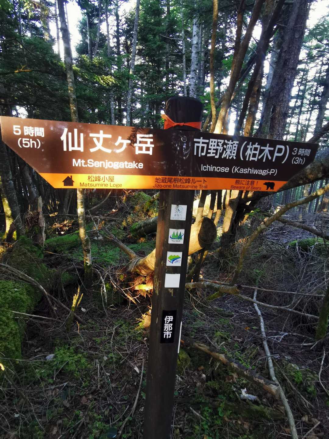 この前の空木岳のように時間の制約が無いとシャキッとせん。💤(=_=)
仙丈ケ岳まで5時間ですって。