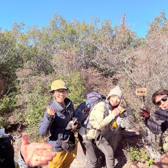 ヤーってなるね👐