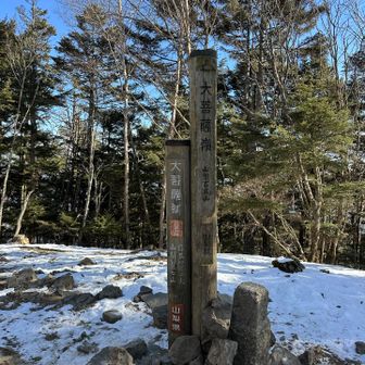 大菩薩嶺は眺望なし