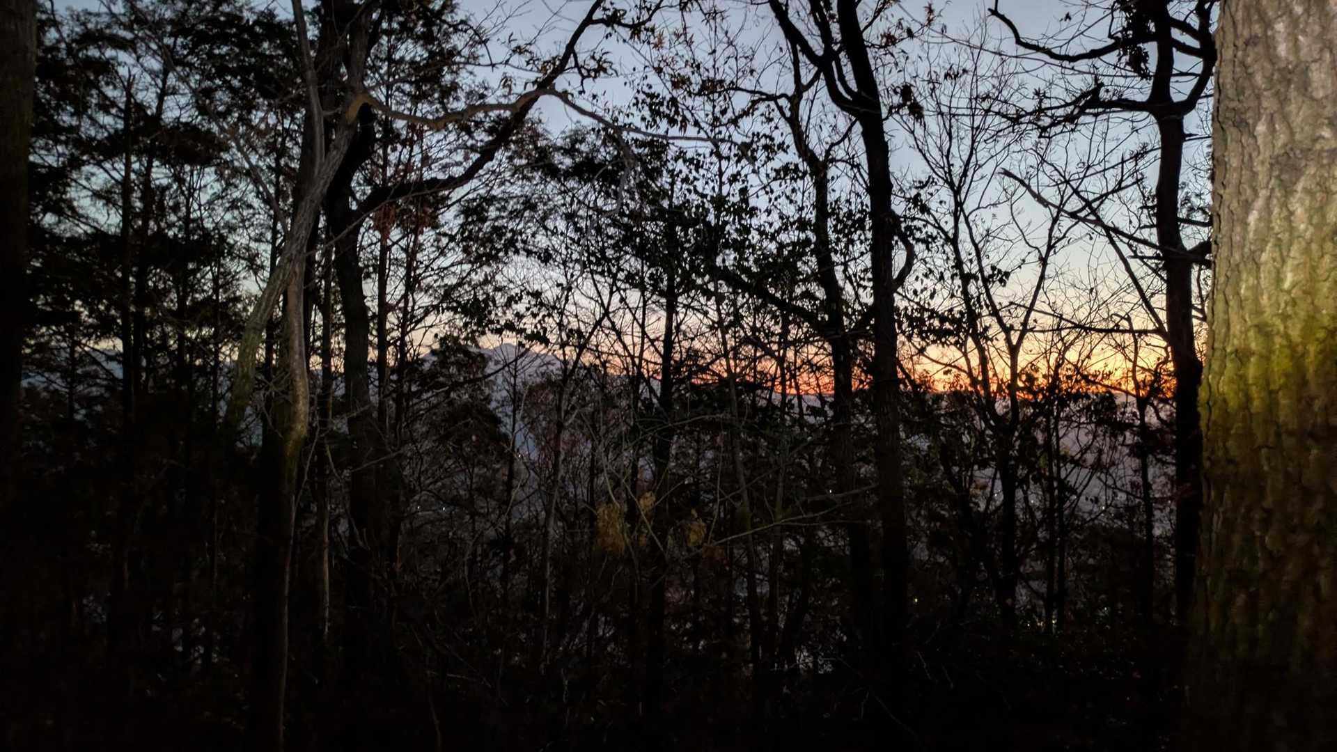 山頂から