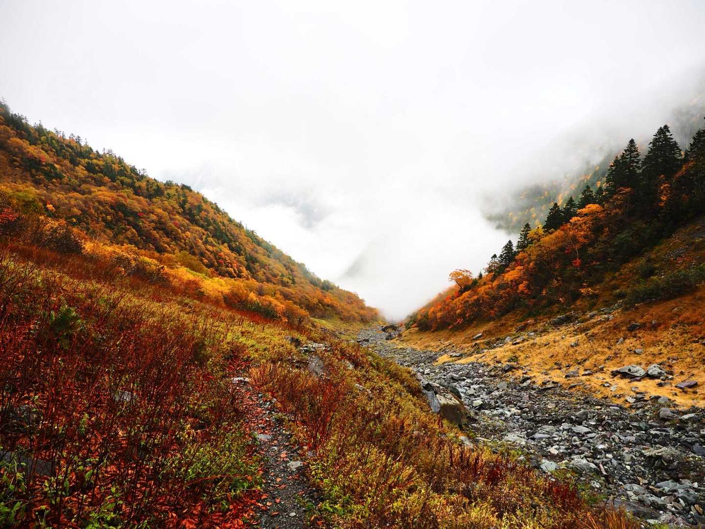 下山は雨☔
紅葉もまた美しく🍂
良い景色が観れまた山を知りました。
感謝感謝☺️

間ノ岳はまたいつか。

お疲れ山👣
