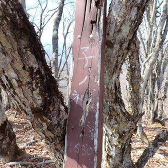 そして子ノ神に到着。