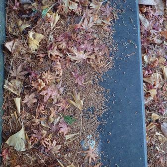 階段をおりて・・