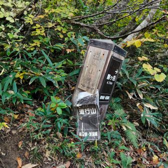 帰りは左側、行きは右側に進み山頂へ