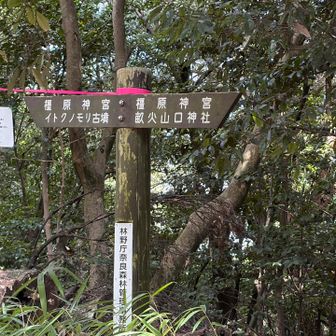 左から登ってきたので、下山は右へ➡️