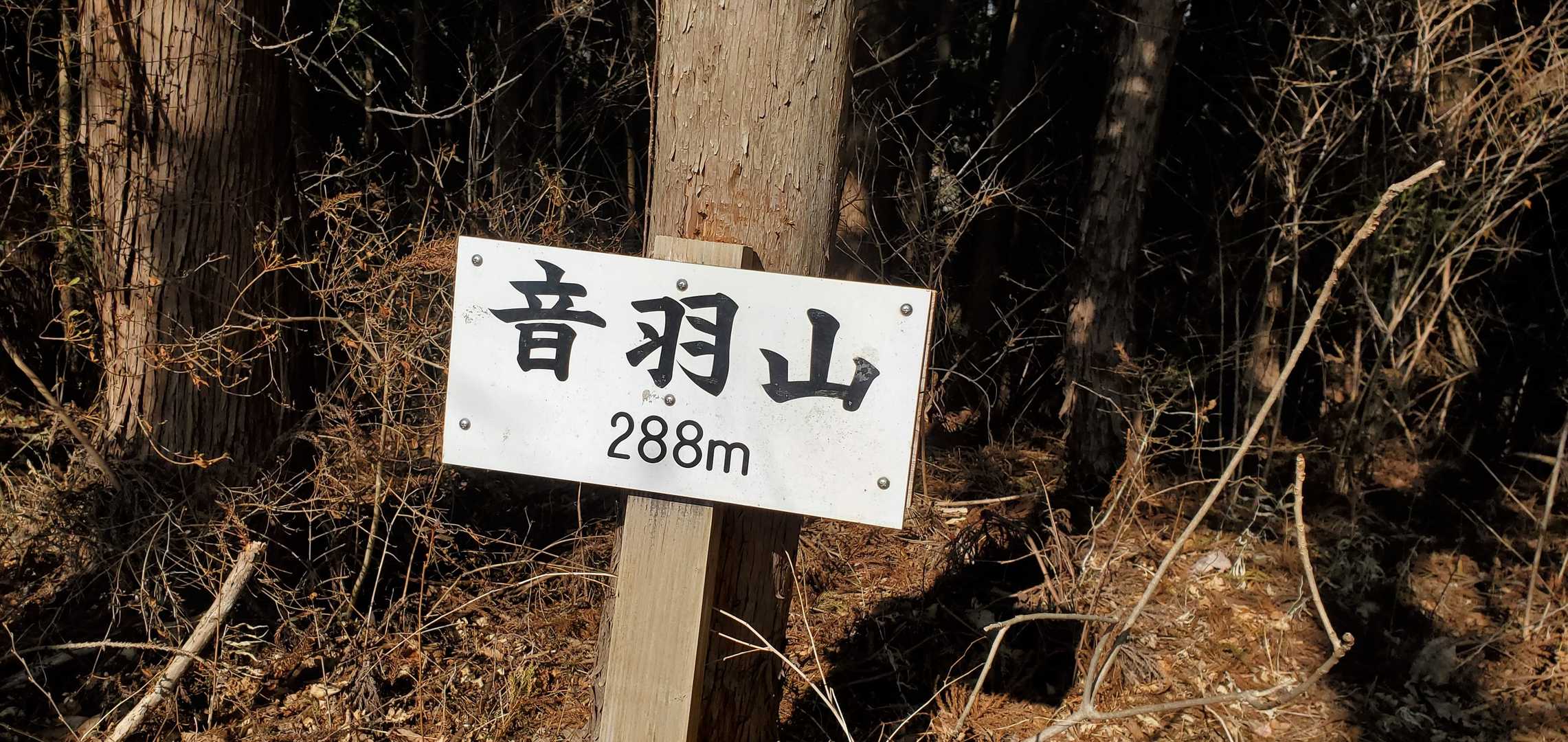 音羽山
ゴールに近づいて来た