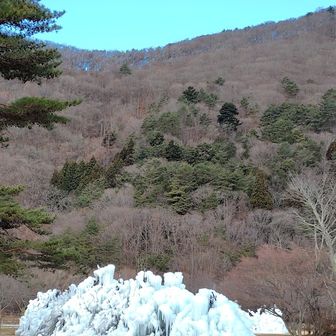 野鳥の森公園にあった氷