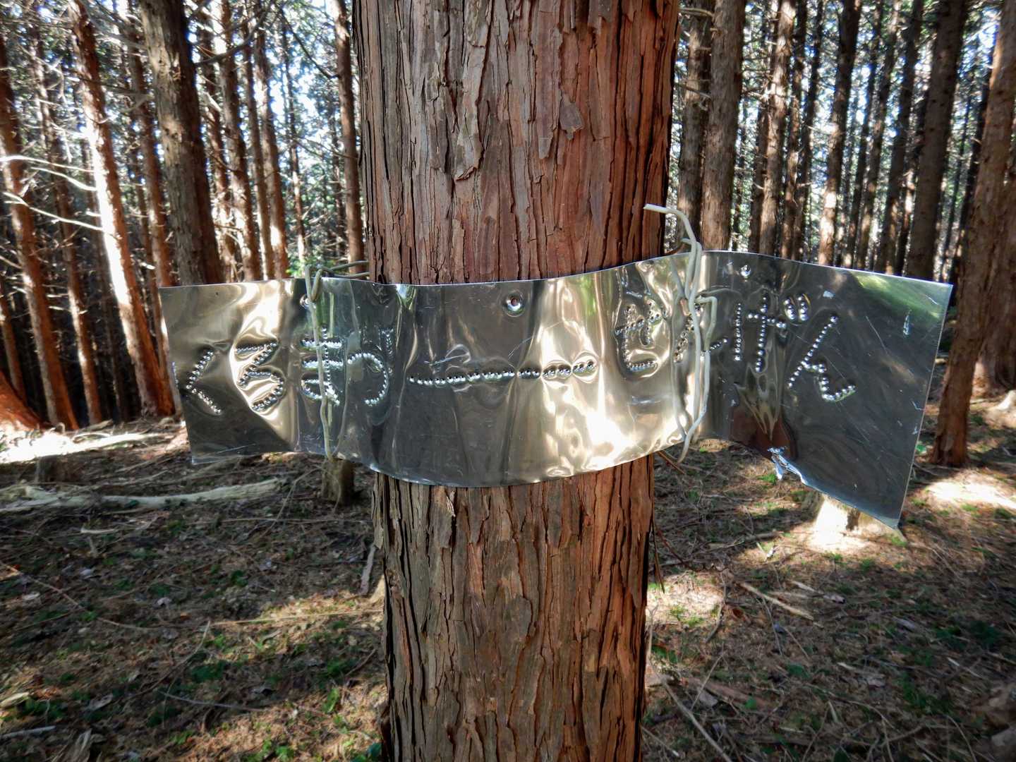 分岐の道標。どちらに進むか分かりませんでしたが、この板の折り曲げ方向のに進むのが正しい選択です。