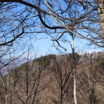 浅間山の山頂が少しずつ顔出してきた！