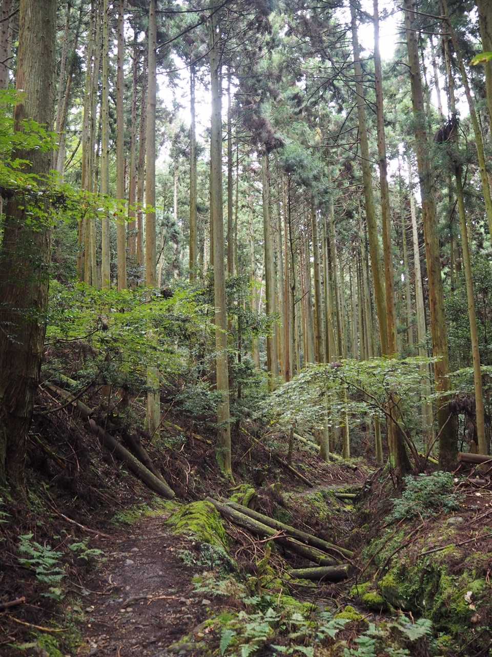 このあたりの雰囲気結構好きです‼️‼️