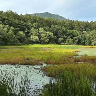 種池から黒姫山
