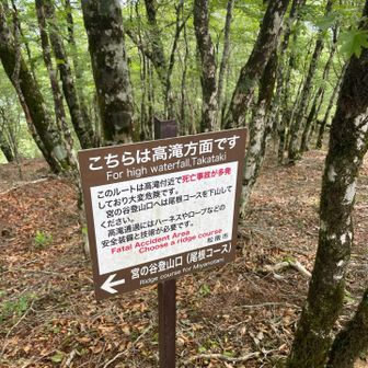 分岐点での行き先②  超アドベンチャールート