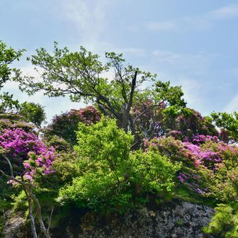 障子岳へ戻りました。