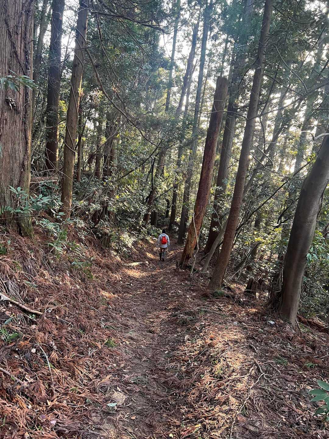 大事な嫁を置いて、逃げ足早いヤツ🥺