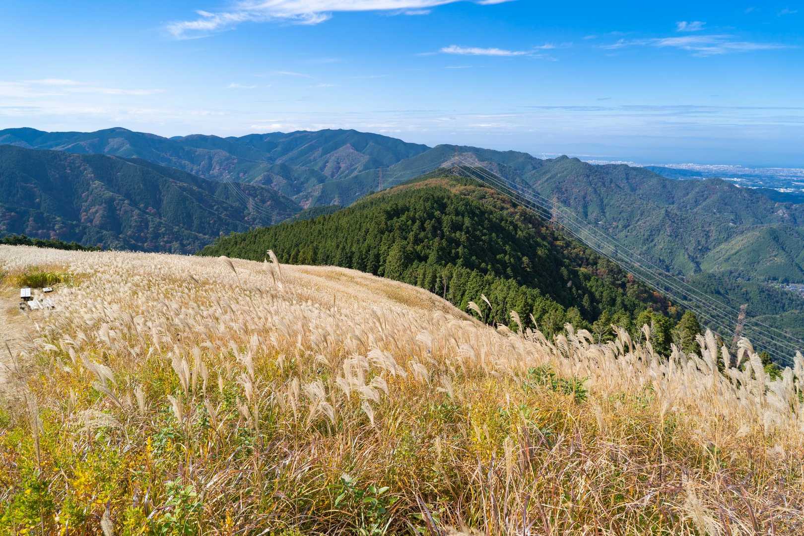 山のおもてなし｜金剛山から岩湧山へダイヤモンドトレール縦走（１泊２日）の写真
