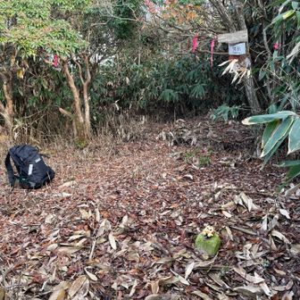 男岳の山頂です！！＼( 'ω')／
眺望は無し