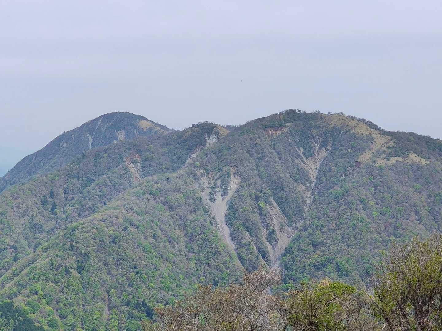 左奥が蛭ヶ岳